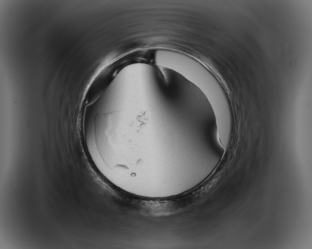 X0000082970805200703020233