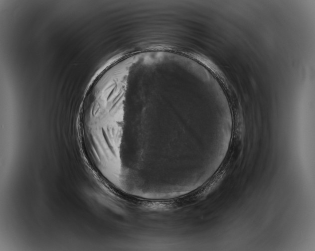 X0000082970806200703020233