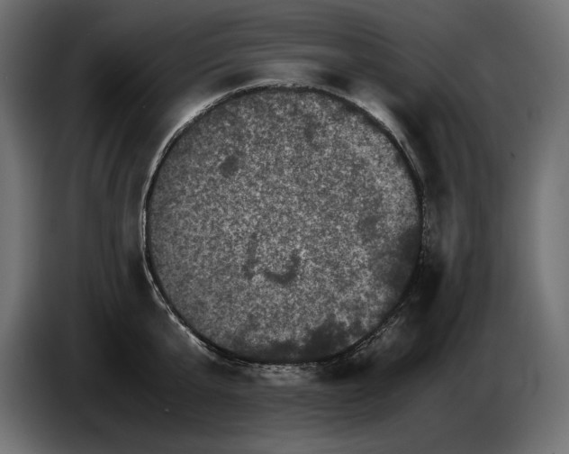X0000082970807200703020233