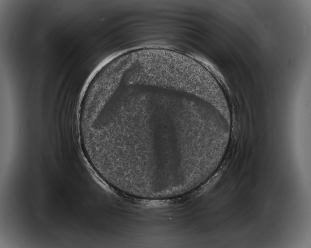 X0000082970808200703020233