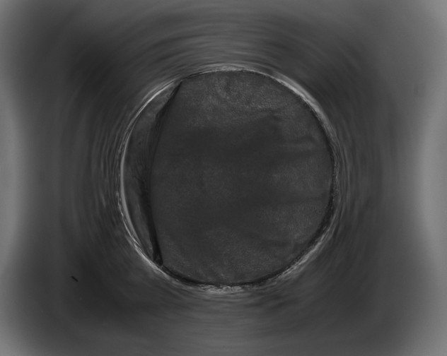 X0000082970809200703020233