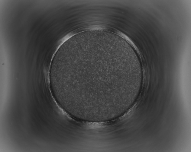 X0000082970810200703020233