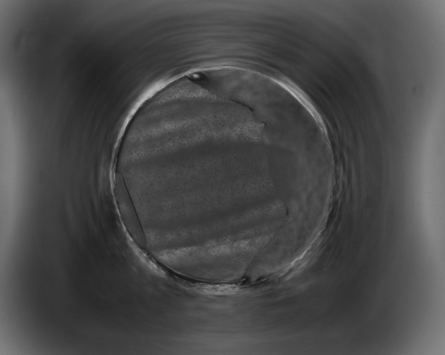 X0000082970813200703020233