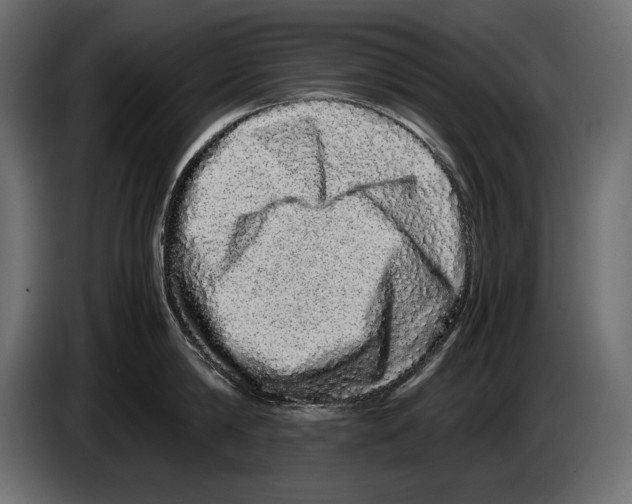 X0000082970814200703020233