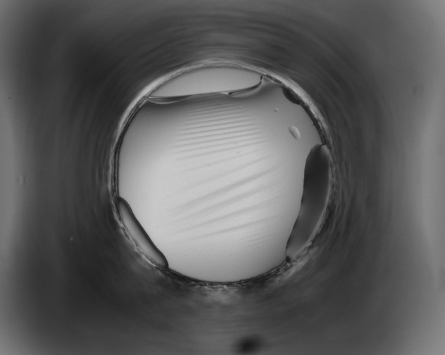 X0000082970815200703020233