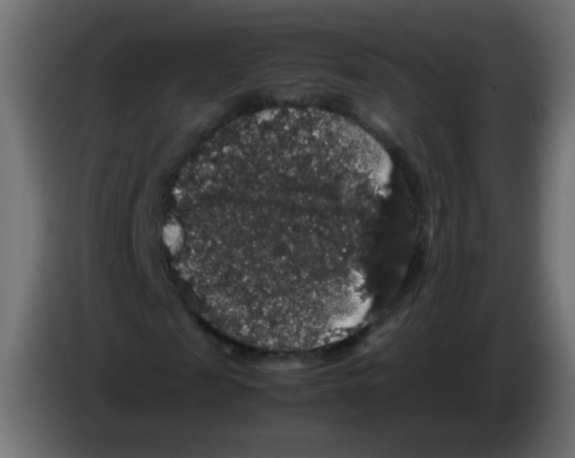 X0000082970817200703020232