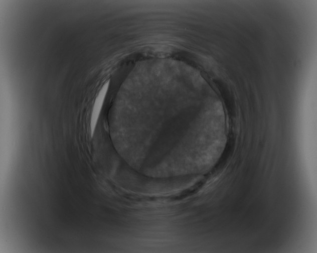 X0000082970818200703020232