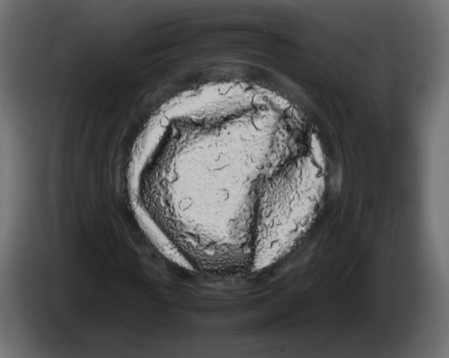 X0000082970819200703020232