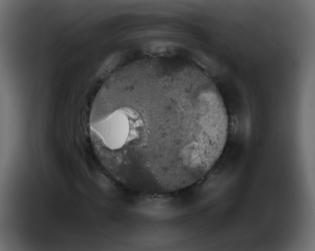 X0000082970820200703020232