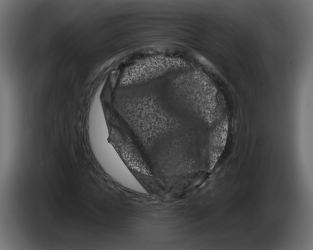 X0000082970822200703020232