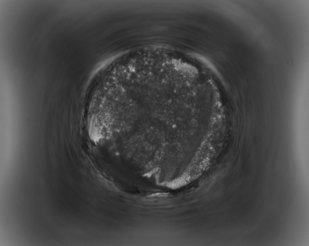 X0000082970823200703020232