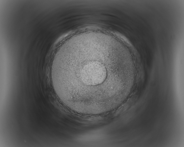 X0000082970824200703020232