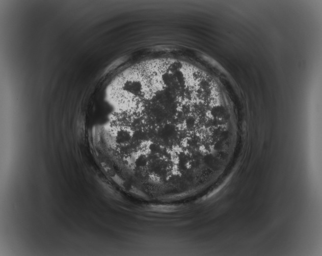X0000082970825200703020232