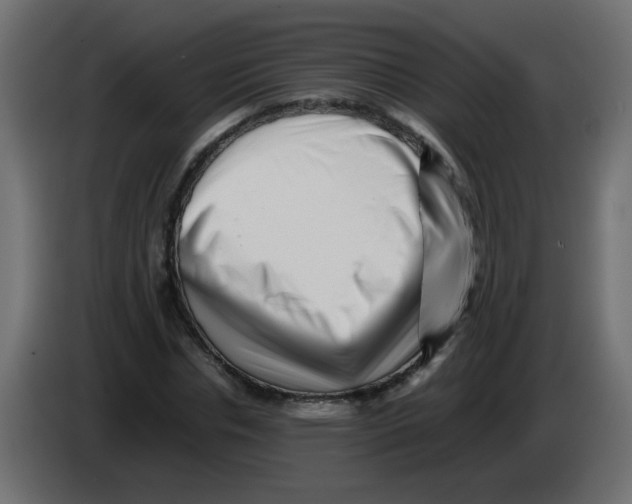 X0000082970826200703020232