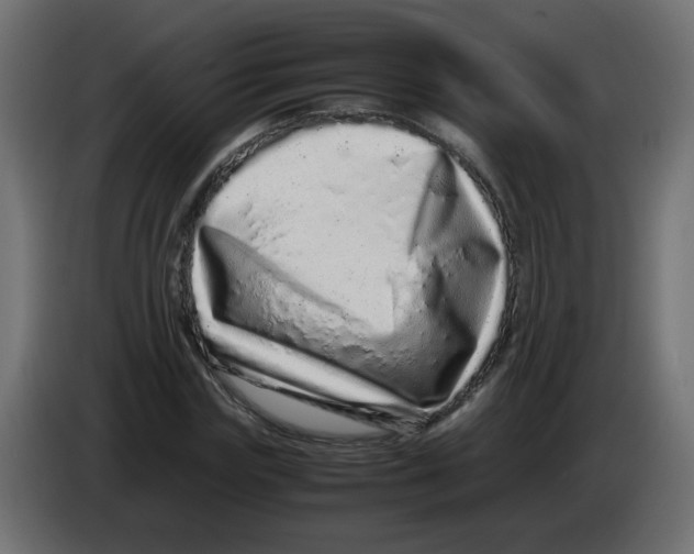 X0000082970827200703020232