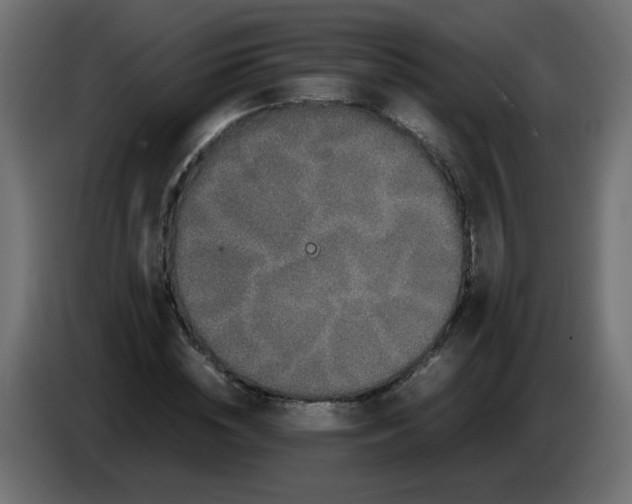 X0000082970828200703020232