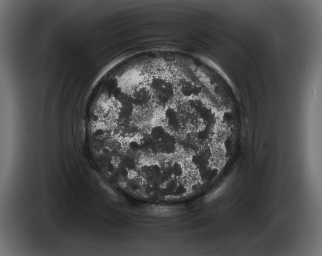 X0000082970829200703020232