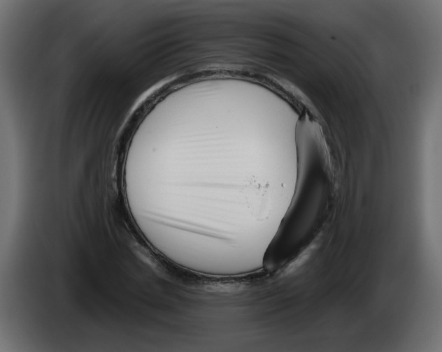 X0000082970830200703020232