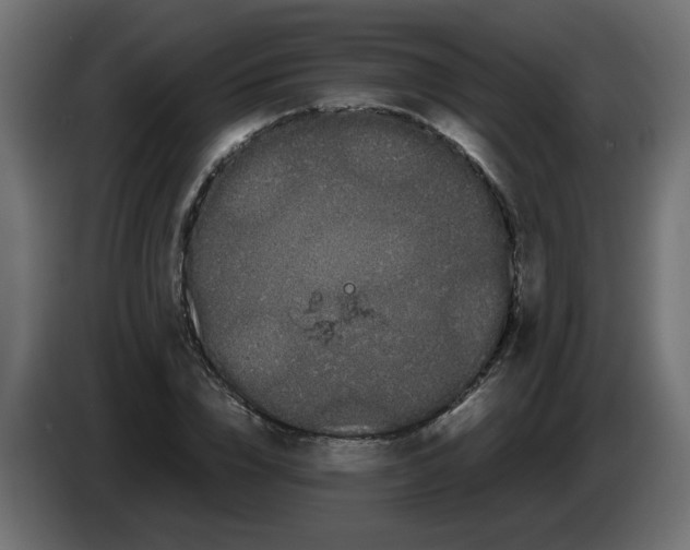 X0000082970832200703020232