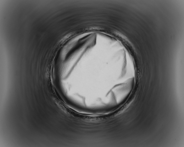 X0000082970833200703020232