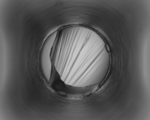 X0000082970834200703020232