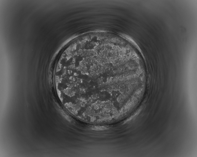 X0000082970835200703020232