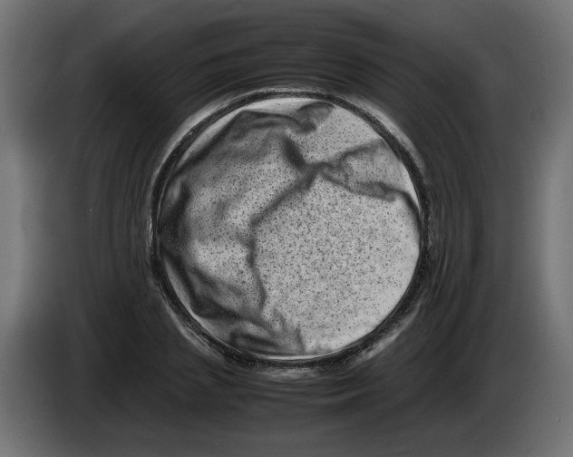 X0000082970837200703020232