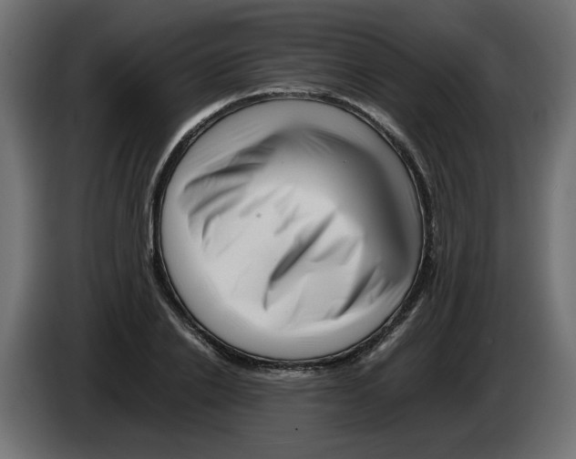 X0000082970838200703020232