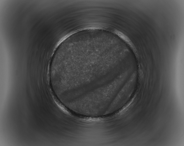 X0000082970842200703020232