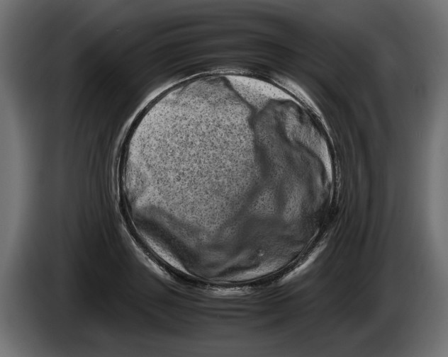 X0000082970843200703020233