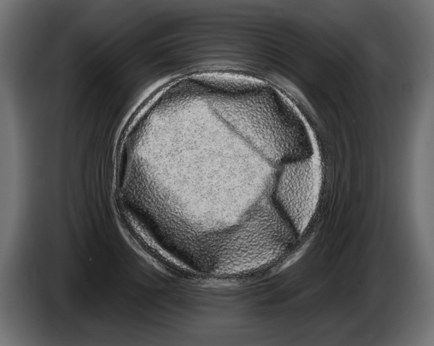 X0000082970844200703020233