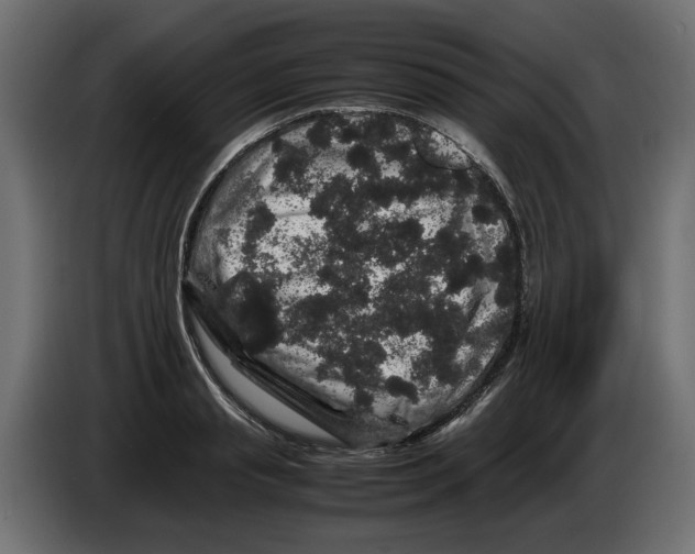 X0000082970845200703020233