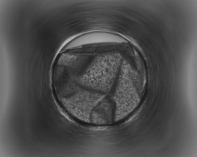 X0000082970846200703020233
