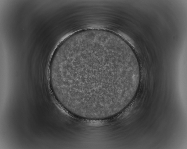X0000082970848200703020233