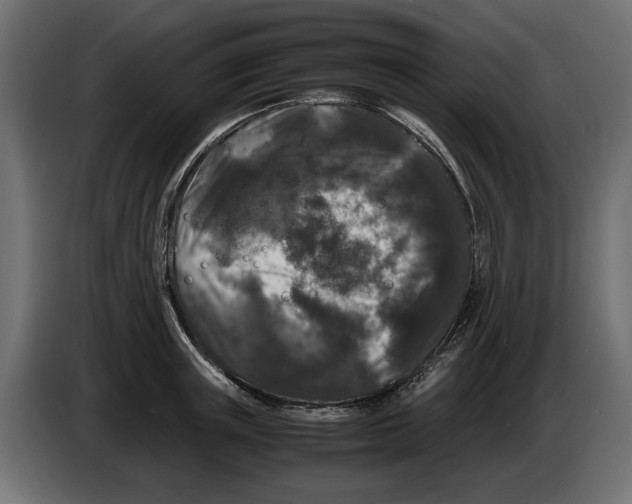 X0000082970851200703020233