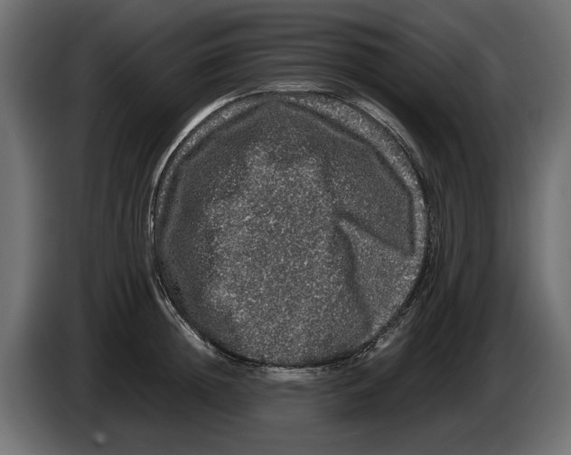 X0000082970852200703020233