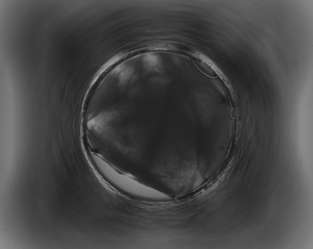 X0000082970853200703020233