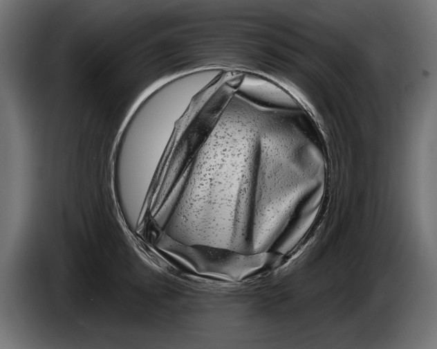X0000082970854200703020233
