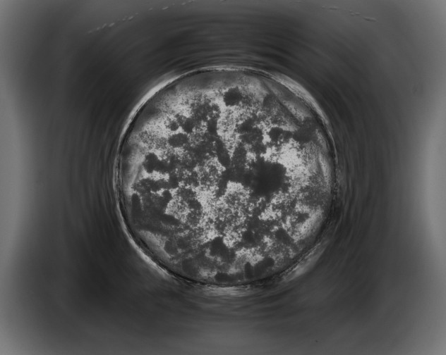X0000082970855200703020233