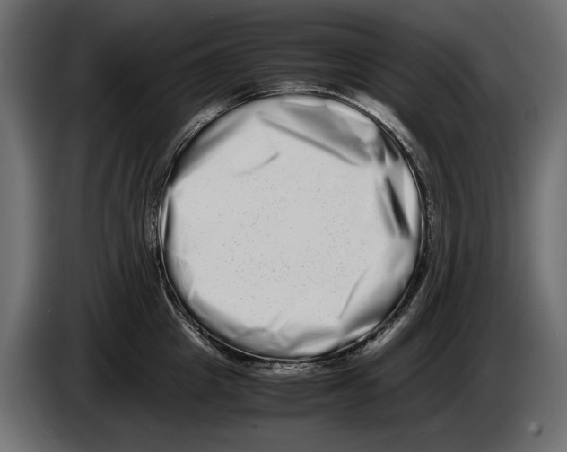 X0000082970857200703020233