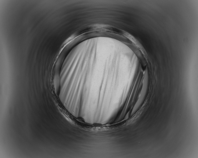 X0000082970858200703020233