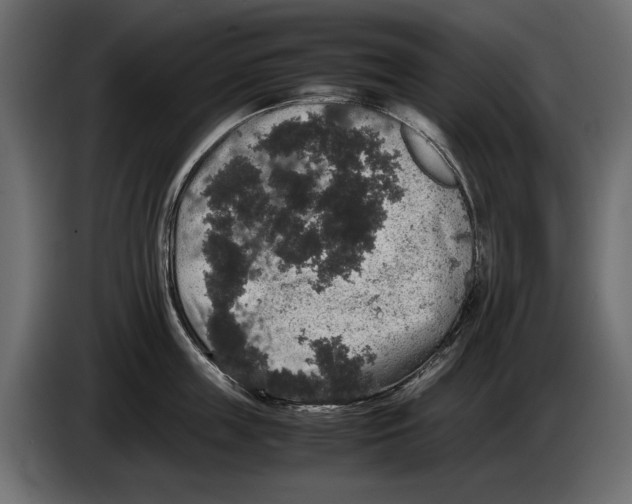 X0000082970859200703020233