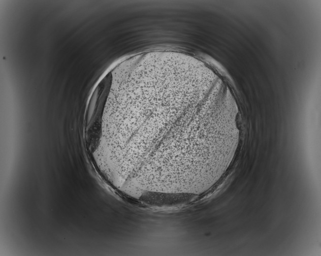 X0000082970860200703020233