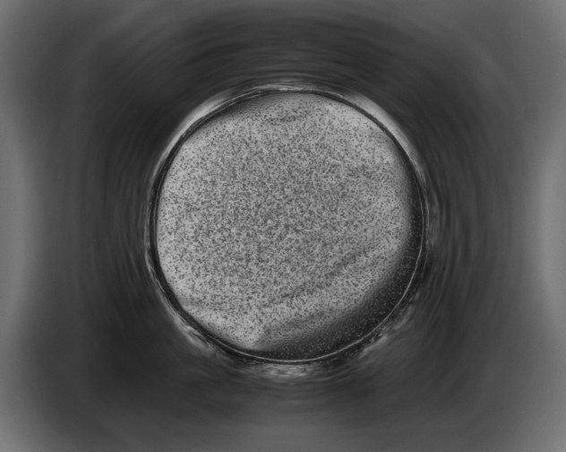 X0000082970861200703020233