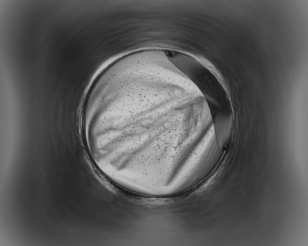 X0000082970862200703020233