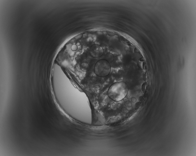 X0000082970863200703020233