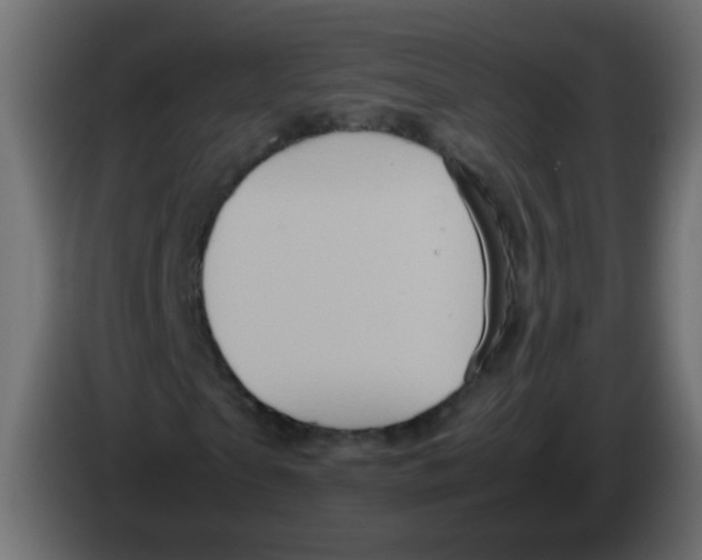X0000082970865200703020232
