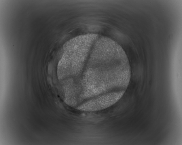 X0000082970866200703020232