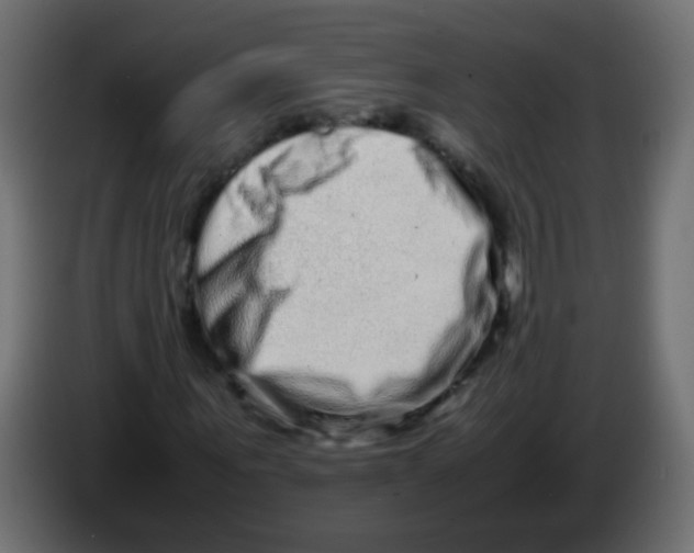 X0000082970867200703020232