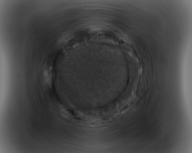 X0000082970868200703020232
